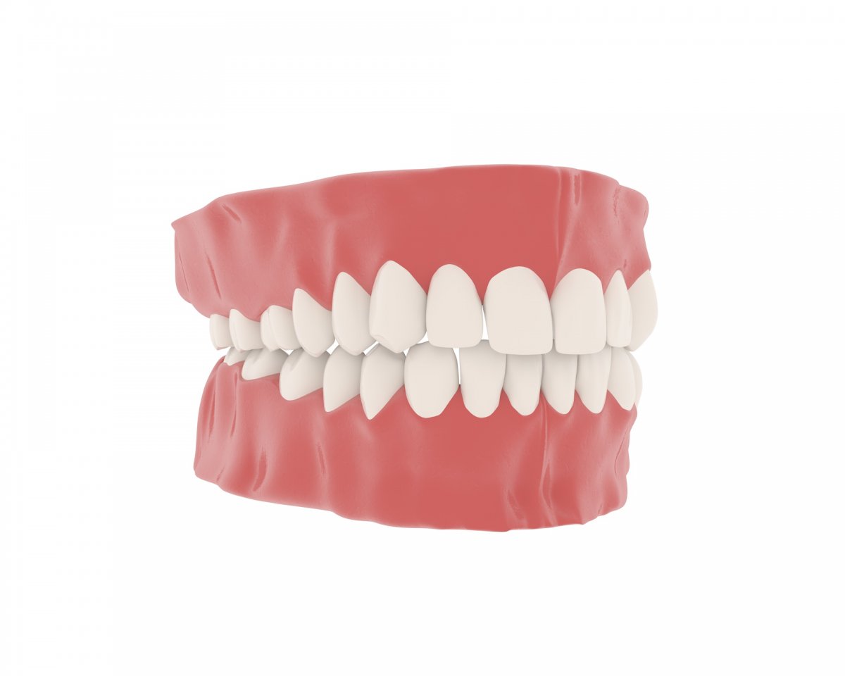 Cinema 4d Diş modelleme | Vedat ŞEKER